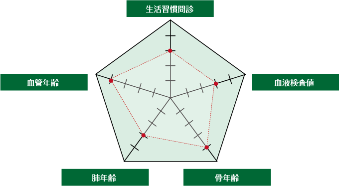 生活習慣問診 血管年齢 灰年齢 血液検査値 骨年齢